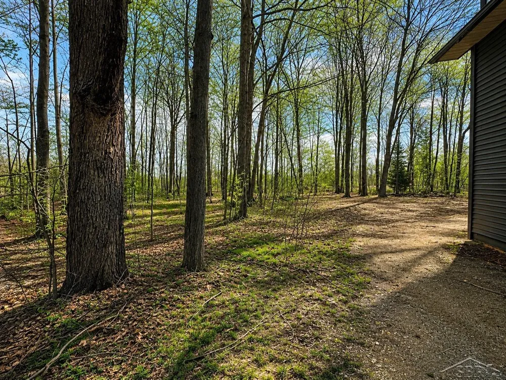 219 S Nine Mile Road Lee Township, MI 48640