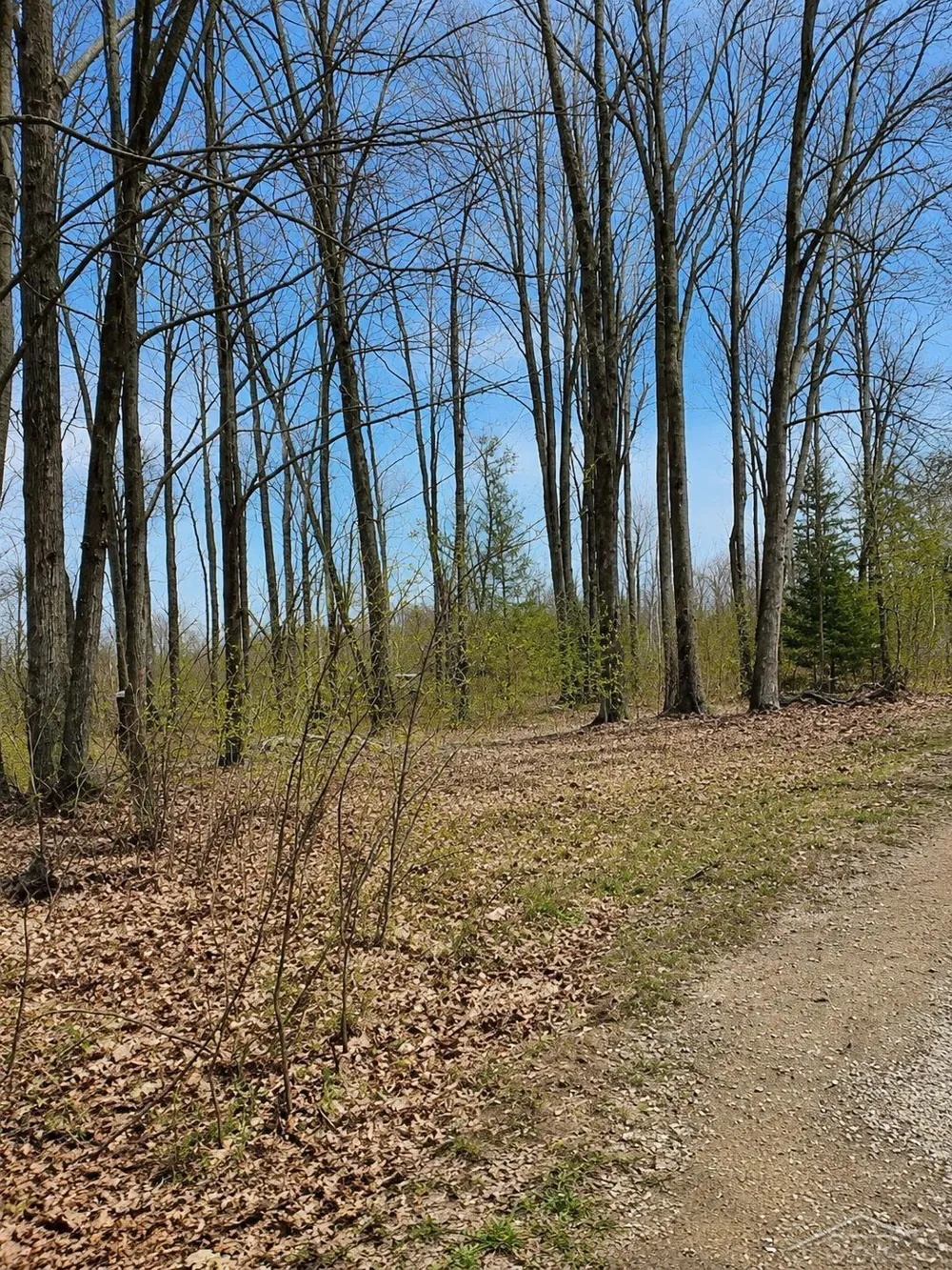 219 S Nine Mile Road Lee Township, MI 48640