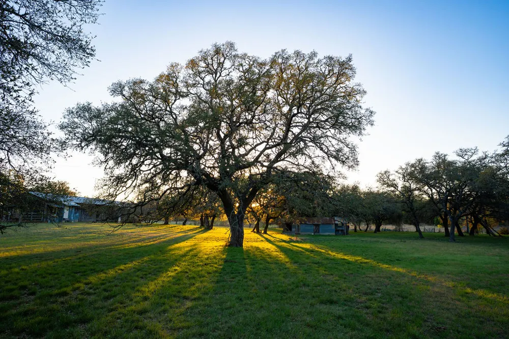 1294 Crabapple Road Blanco, TX 78606