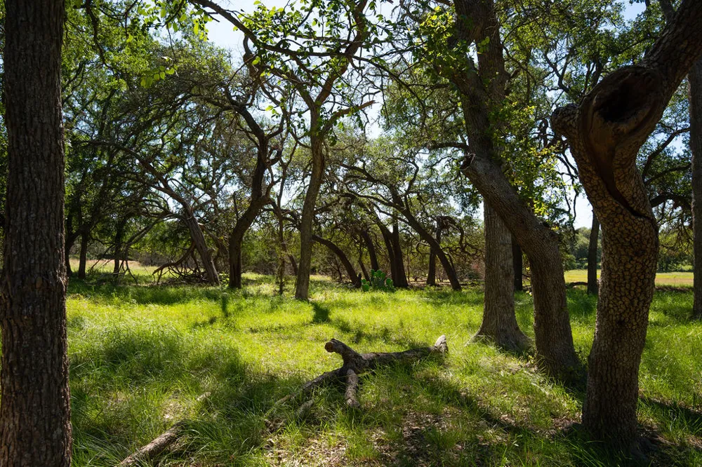 1294 Crabapple Road Blanco, TX 78606