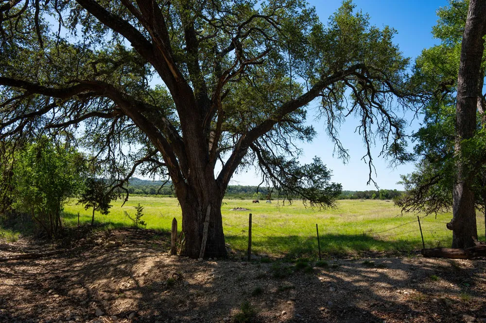 1294 Crabapple Road Blanco, TX 78606