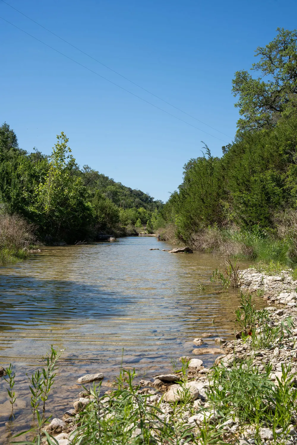 1294 Crabapple Road Blanco, TX 78606