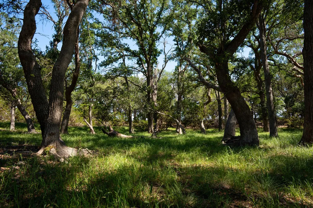 1294 Crabapple Road Blanco, TX 78606