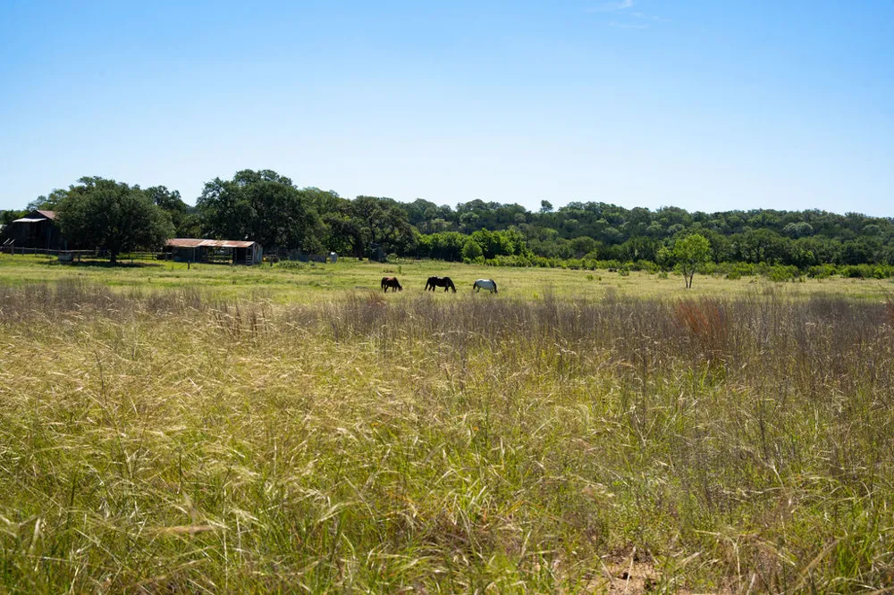 1294 Crabapple Road Blanco, TX 78606