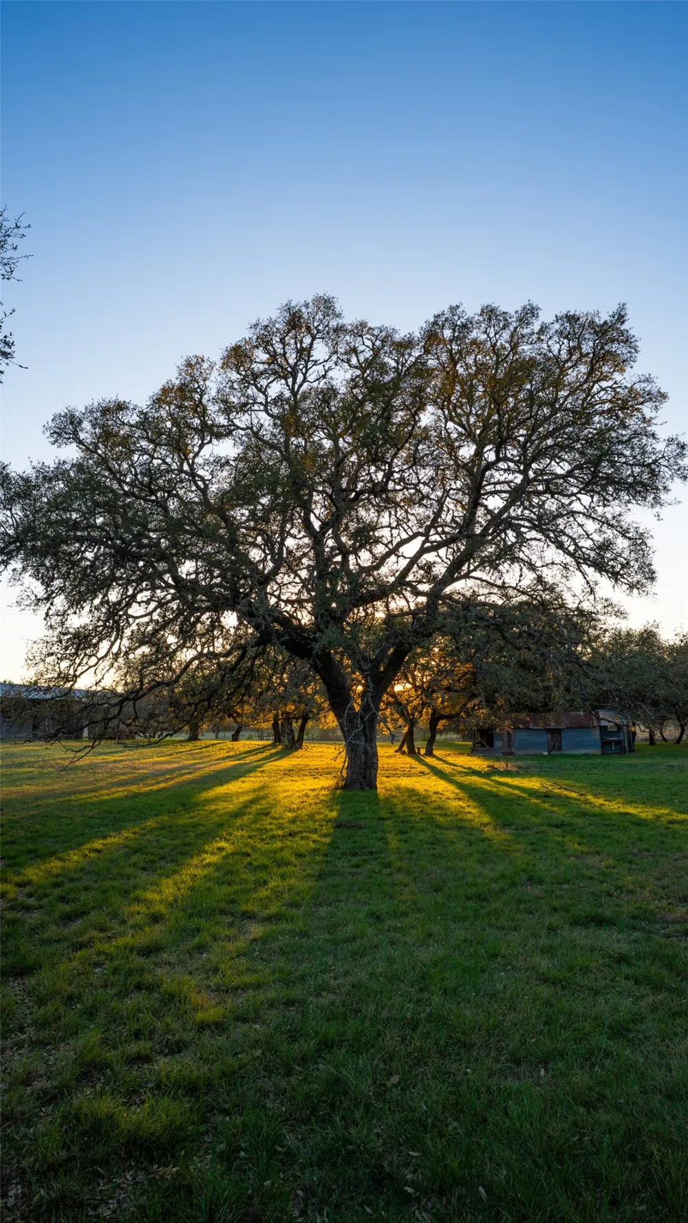 1294 Crabapple Road Blanco, TX 78606