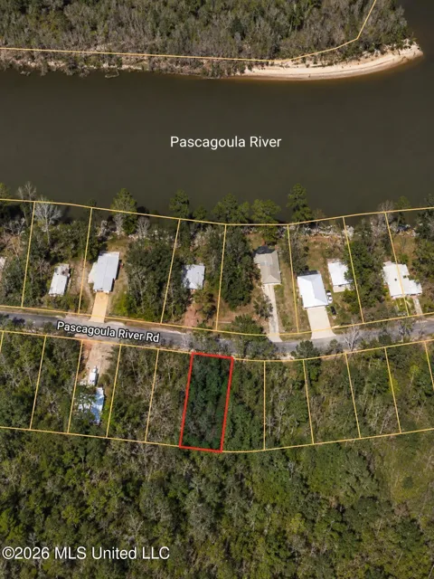 Pascagoula River