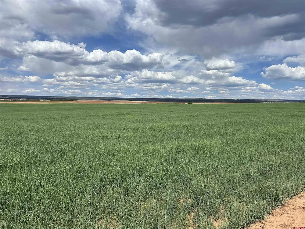 Road 15 Cahone, CO 81320