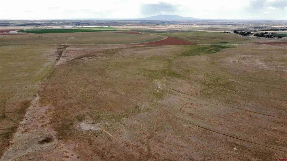 Road 15 Cahone, CO 81320