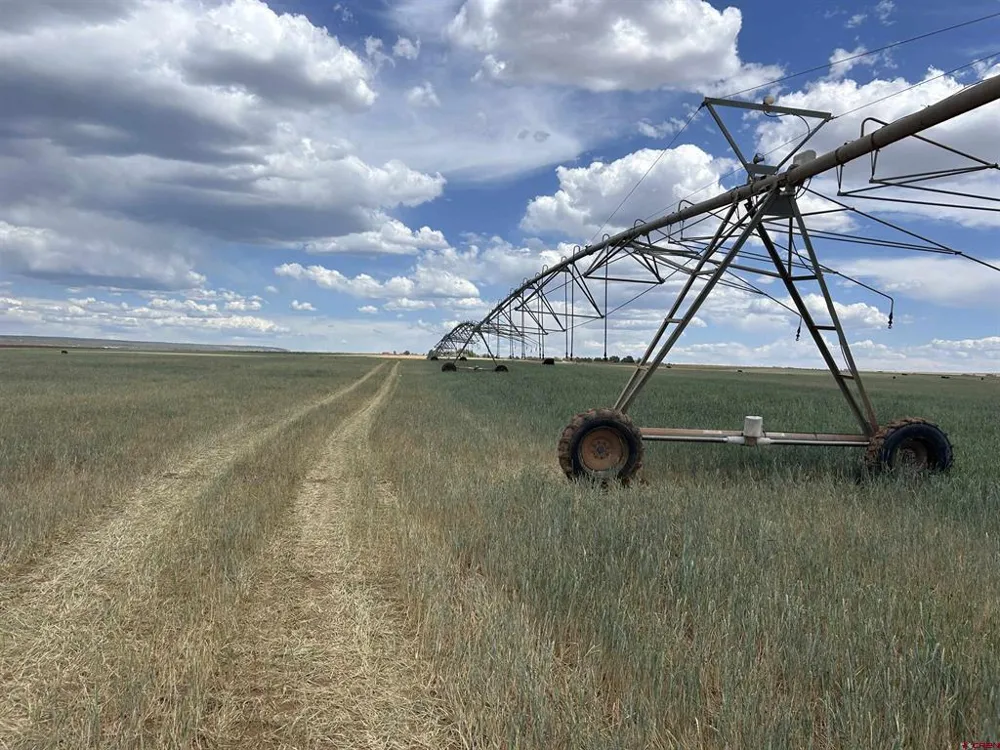 Road 15 Cahone, CO 81320