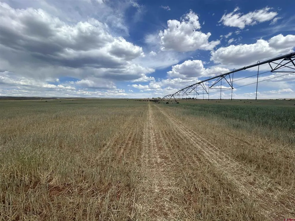 Road 15 Cahone, CO 81320