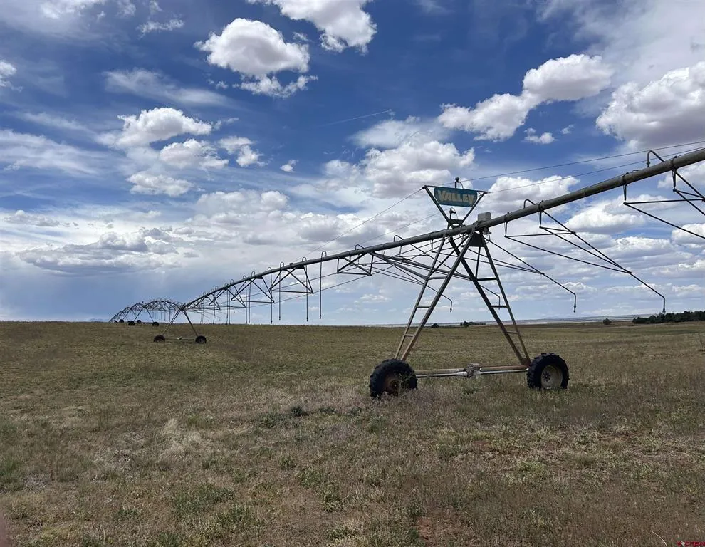 Road 15 Cahone, CO 81320