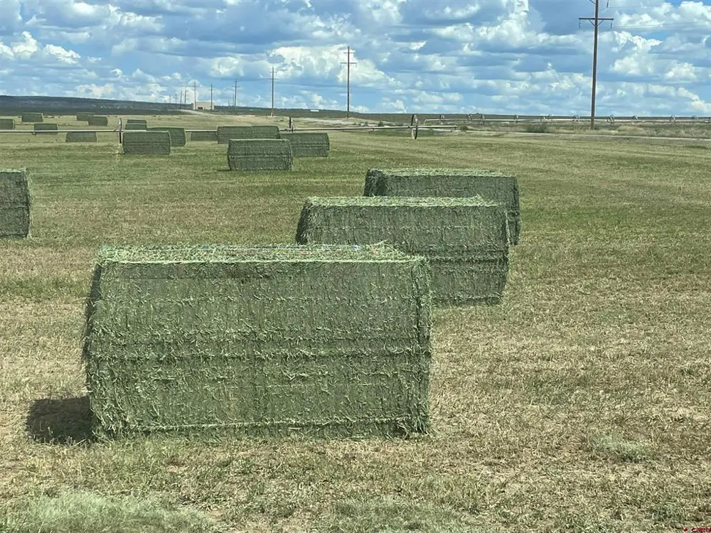 Road 15 Cahone, CO 81320