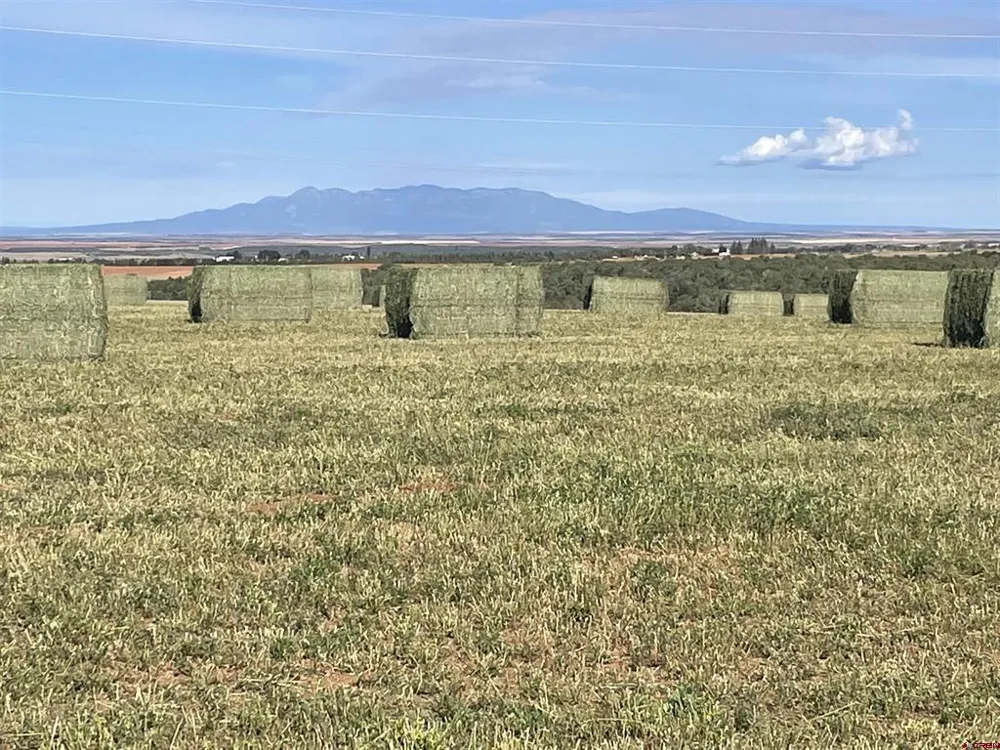 Road 15 Cahone, CO 81320
