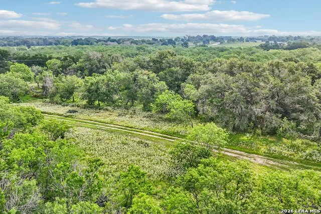1617 BLUE CREEK RD La Vernia, TX 78121