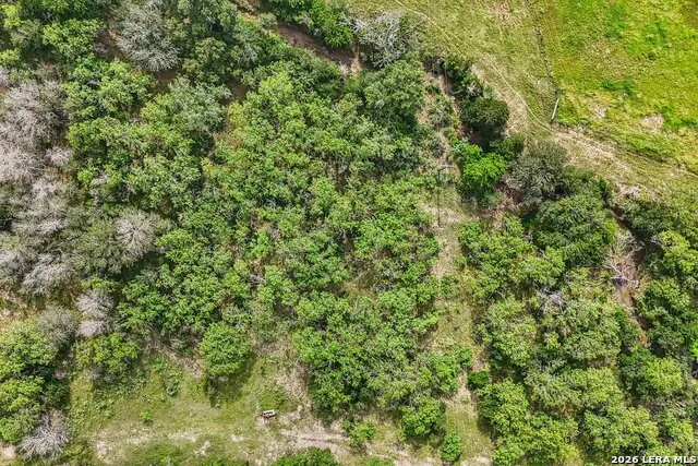 1617 BLUE CREEK RD La Vernia, TX 78121