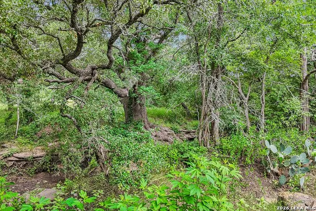 1617 BLUE CREEK RD La Vernia, TX 78121