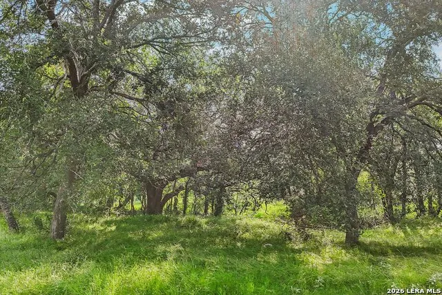 1617 BLUE CREEK RD La Vernia, TX 78121
