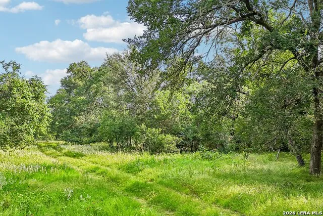 1617 BLUE CREEK RD La Vernia, TX 78121