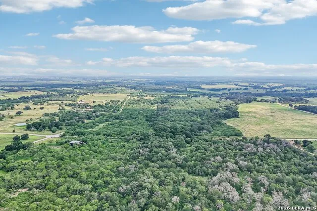 1617 BLUE CREEK RD La Vernia, TX 78121