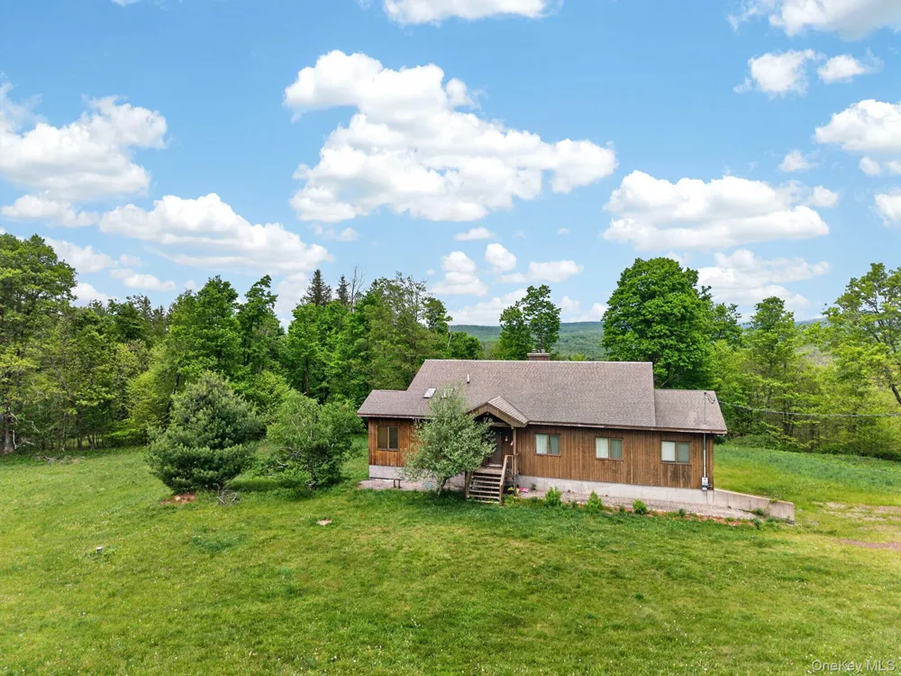 81 Pond Drive Livingston Manor, NY 12768