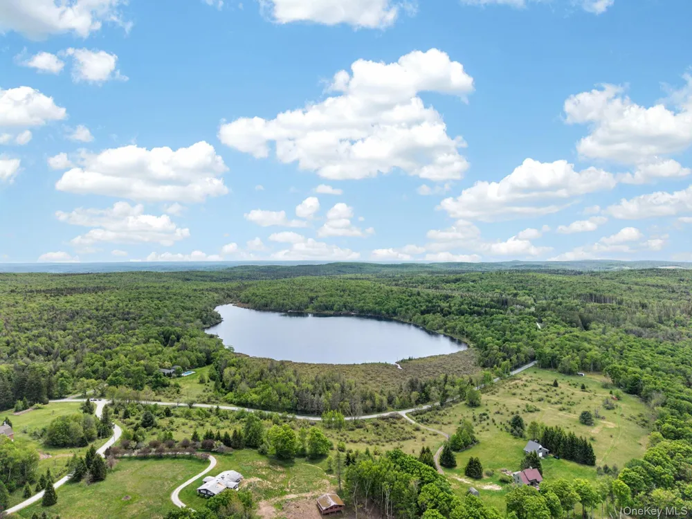 81 Pond Drive Livingston Manor, NY 12768