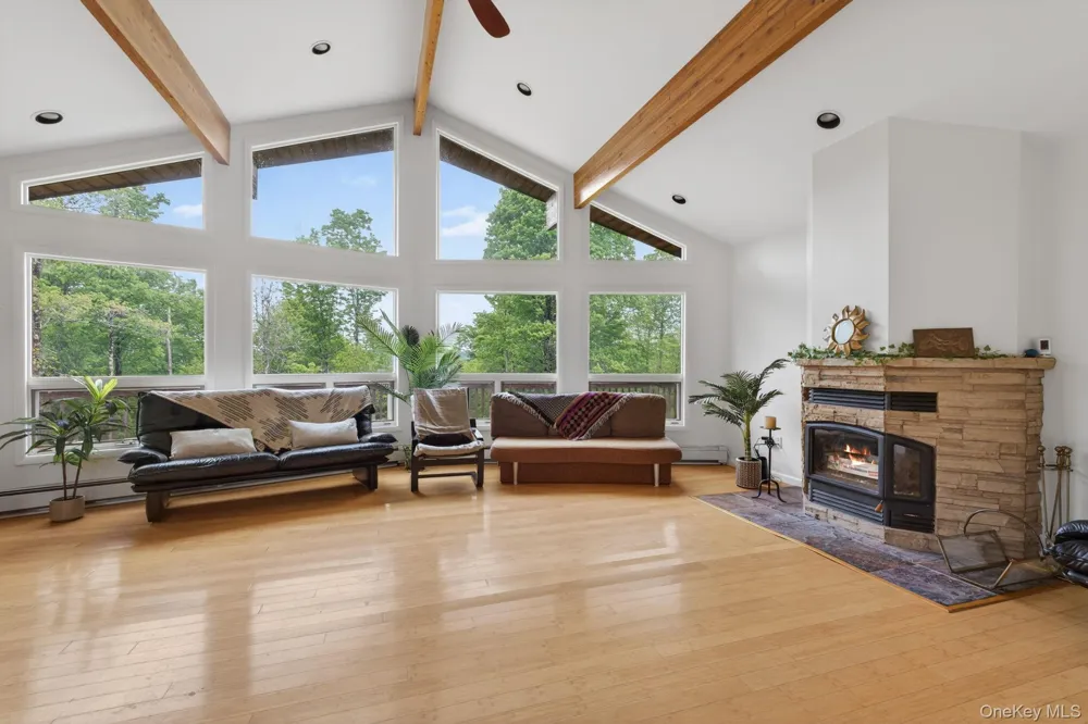 81 Pond Drive Livingston Manor, NY 12768