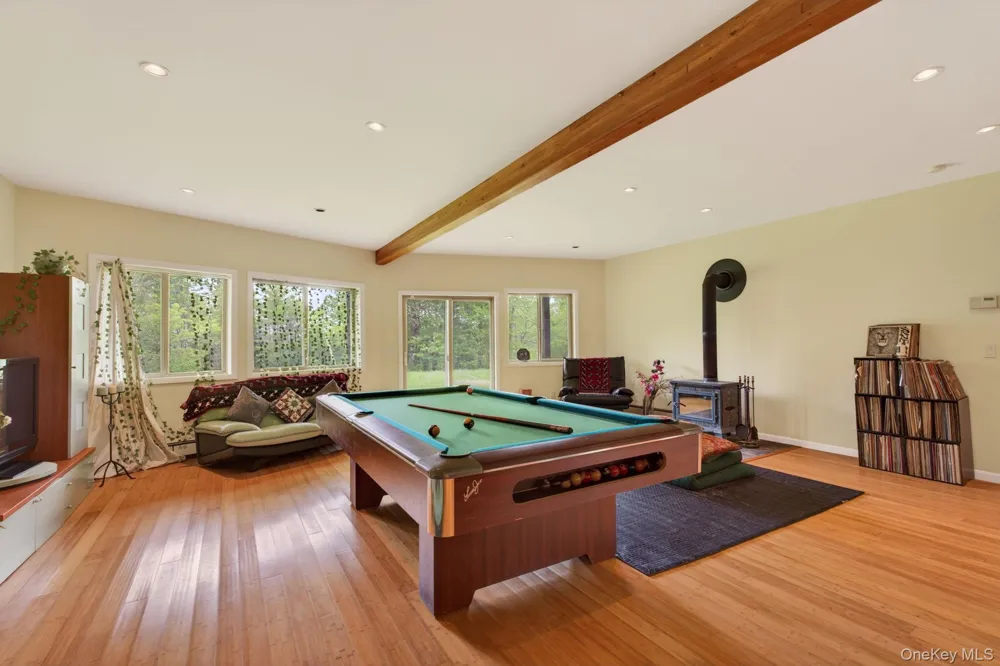 81 Pond Drive Livingston Manor, NY 12768