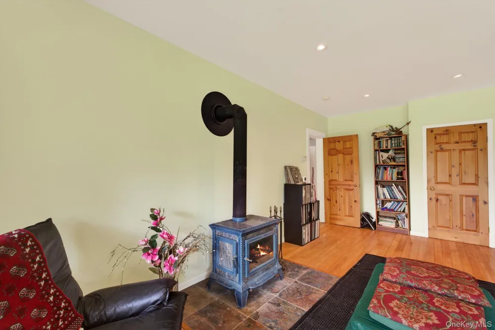 81 Pond Drive Livingston Manor, NY 12768