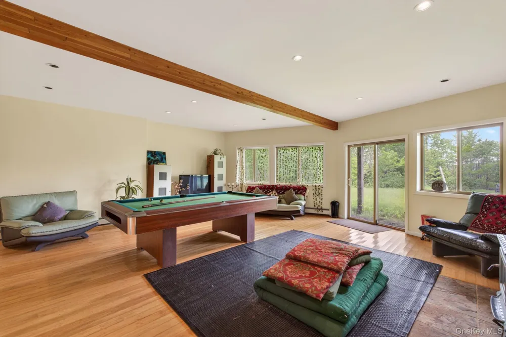 81 Pond Drive Livingston Manor, NY 12768