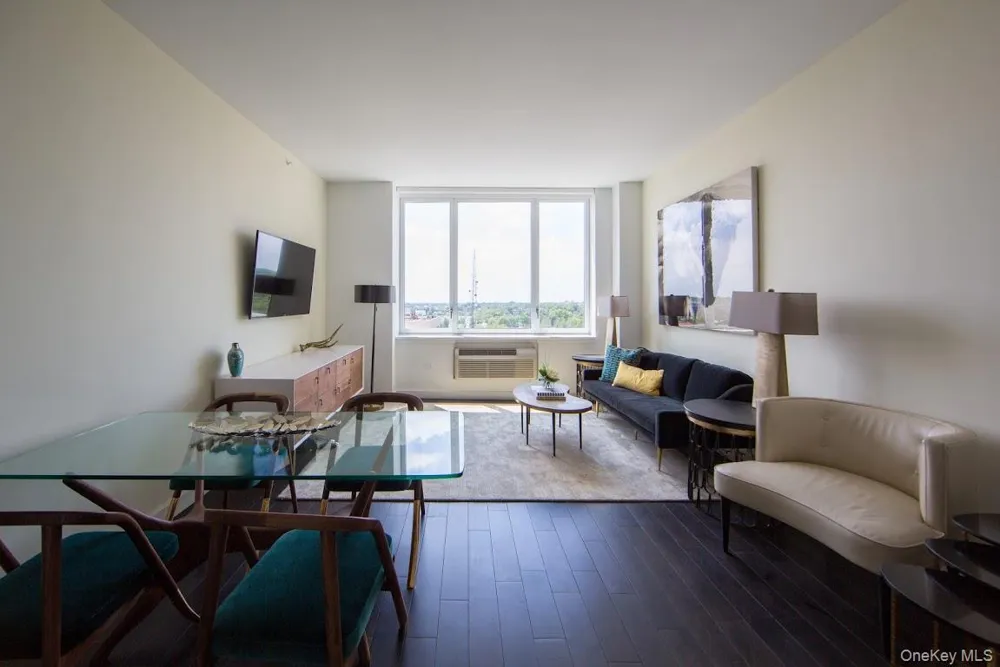 1 Third #1011 Mineola, NY 11501