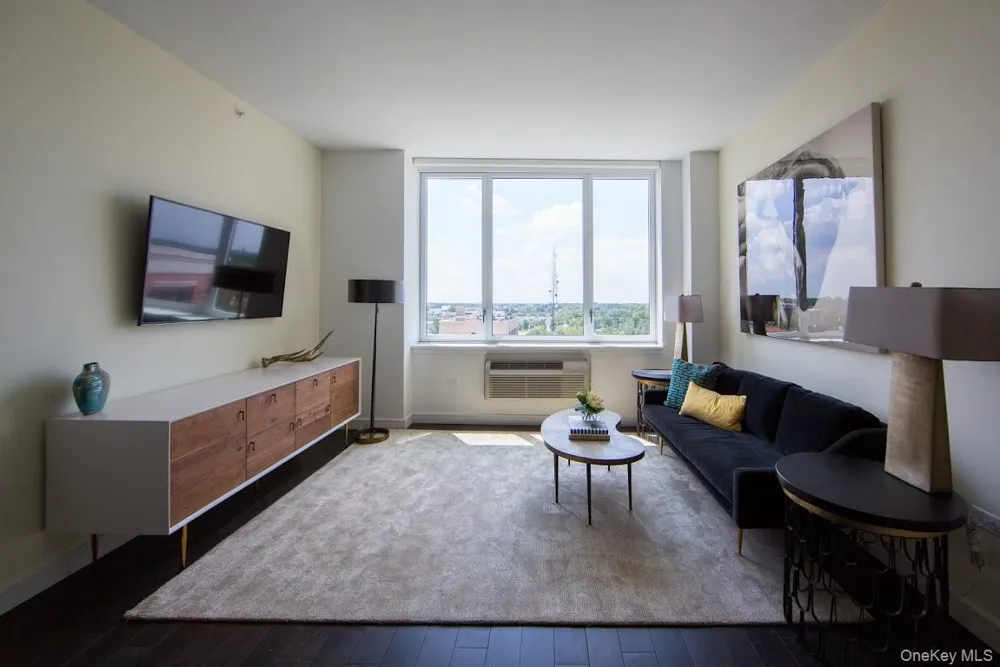 1 Third #1011 Mineola, NY 11501
