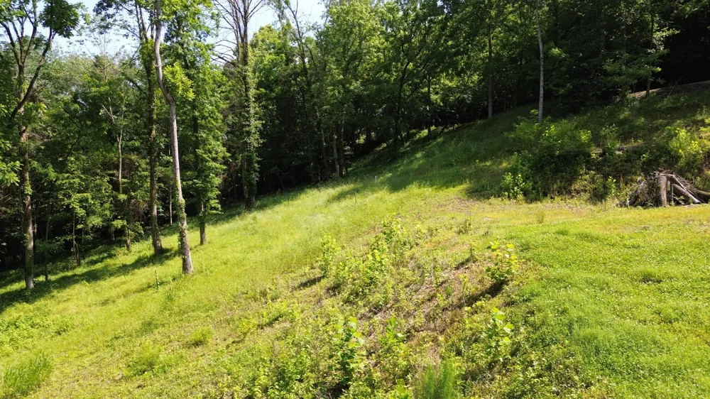 11 Bay Dr Lancaster, TN 38569