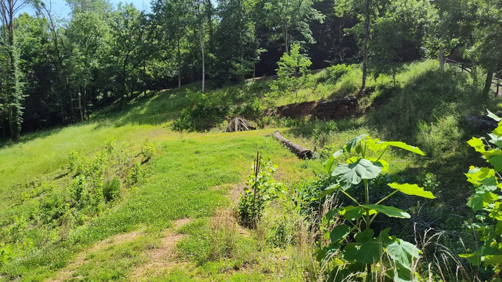 11 Bay Dr Lancaster, TN 38569
