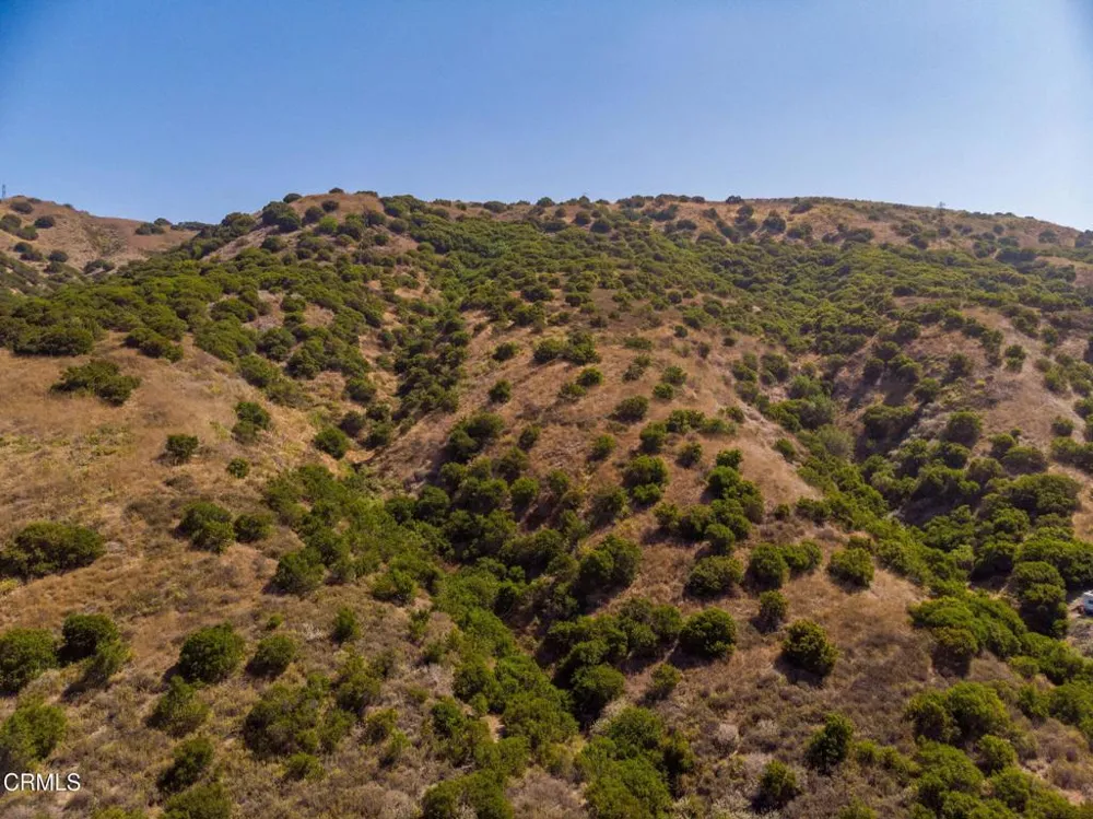 Burson Ranch Road Fillmore, CA 93015