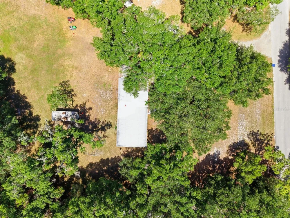 17214 CHINABERRY ROAD Lutz, FL 33558