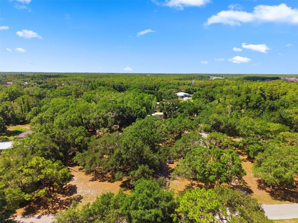 17214 CHINABERRY ROAD Lutz, FL 33558