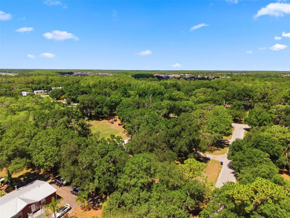 17214 CHINABERRY ROAD Lutz, FL 33558