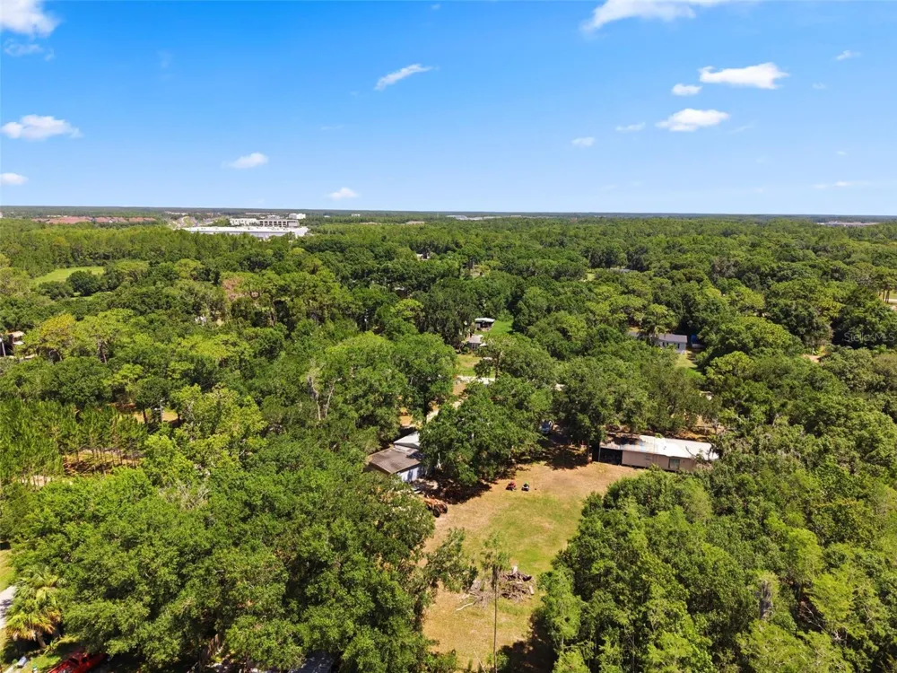 17214 CHINABERRY ROAD Lutz, FL 33558