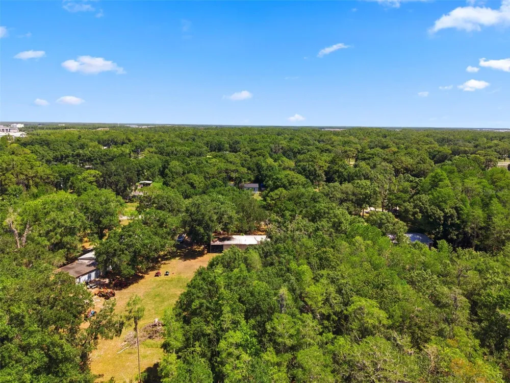 17214 CHINABERRY ROAD Lutz, FL 33558