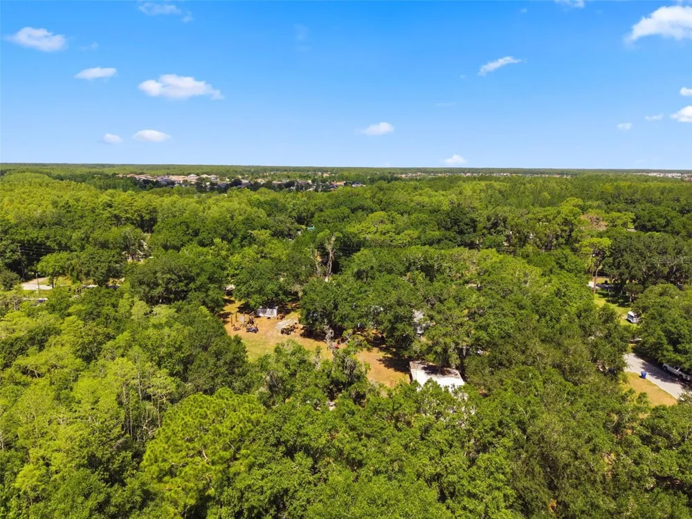 17214 CHINABERRY ROAD Lutz, FL 33558