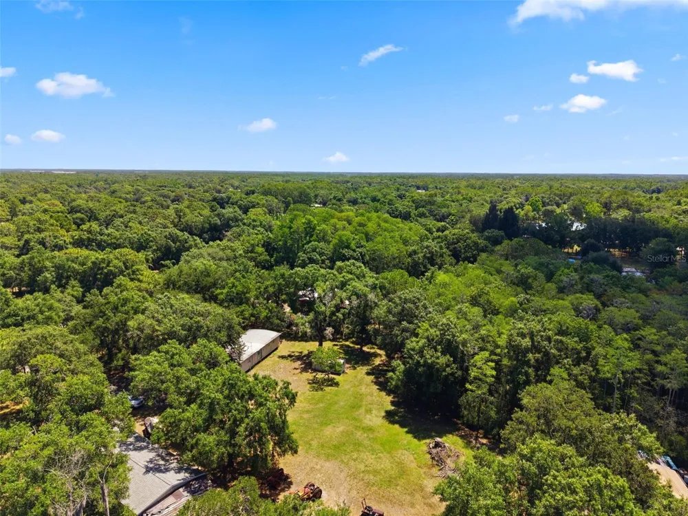 17214 CHINABERRY ROAD Lutz, FL 33558