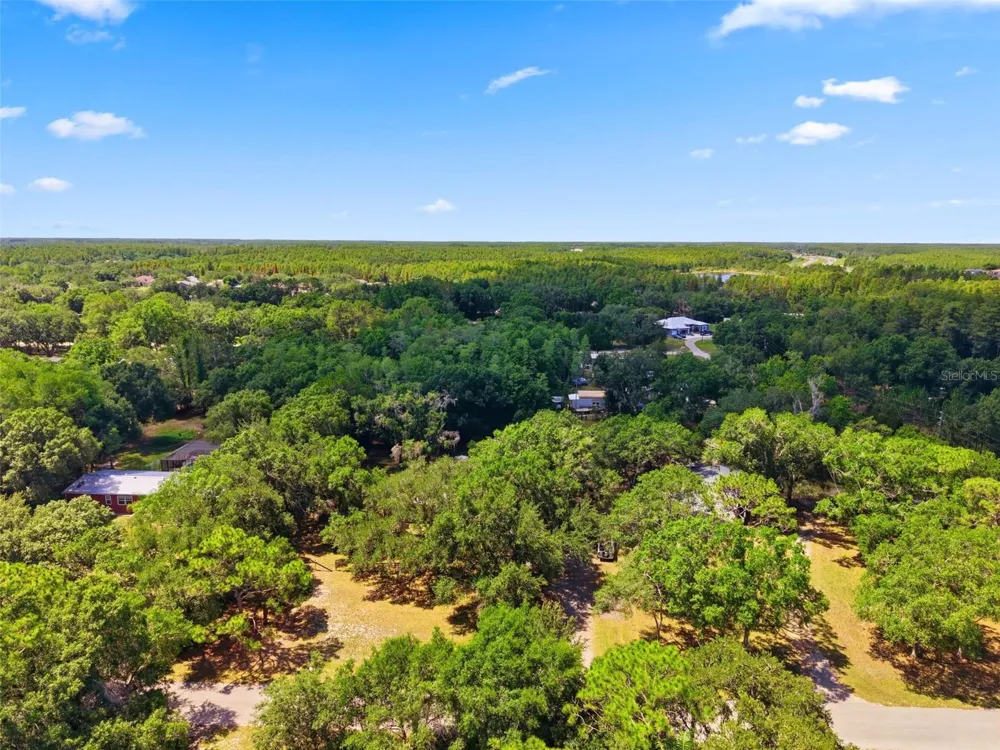 17214 CHINABERRY ROAD Lutz, FL 33558