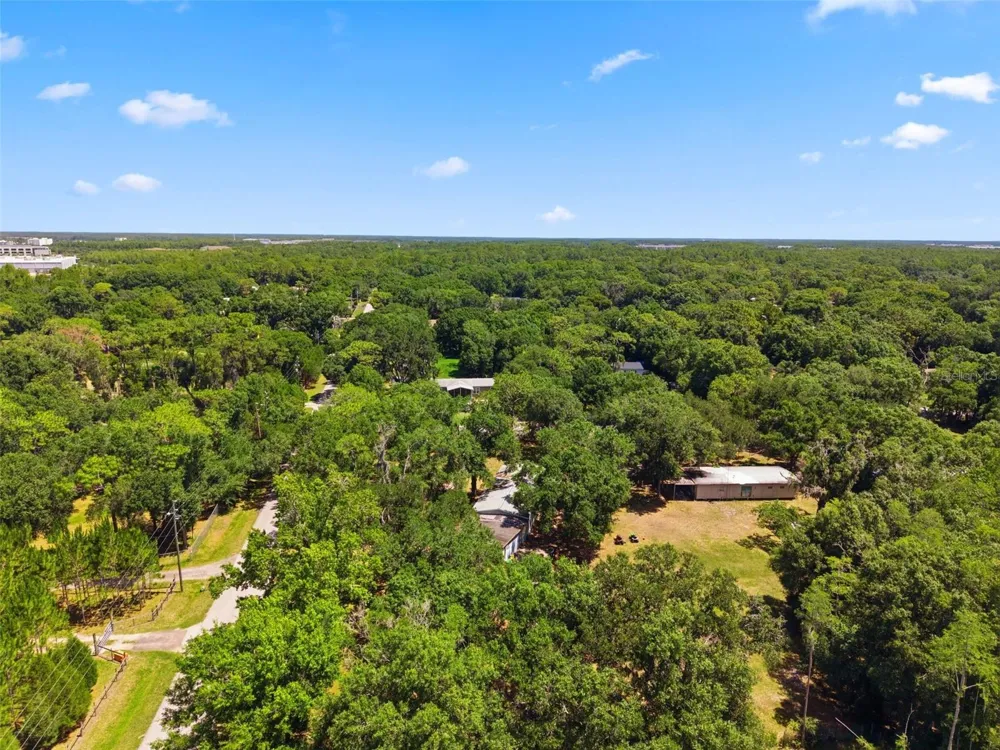 17214 CHINABERRY ROAD Lutz, FL 33558