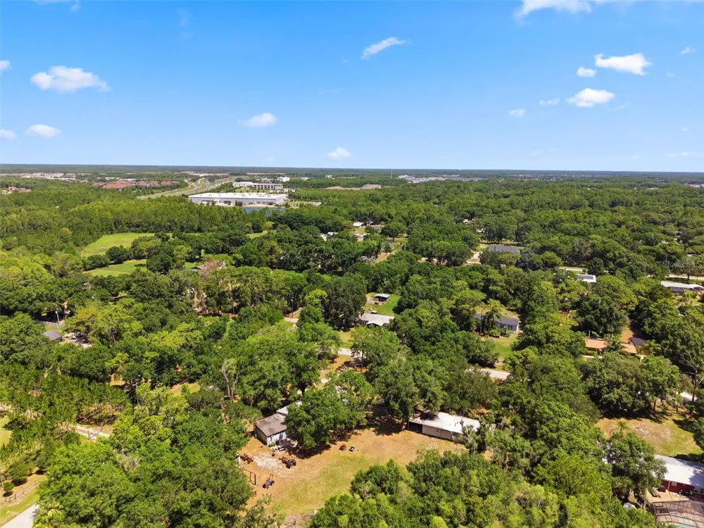 17214 CHINABERRY ROAD Lutz, FL 33558