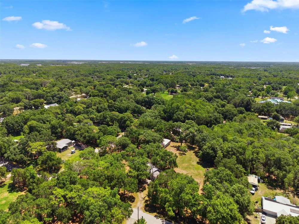 17214 CHINABERRY ROAD Lutz, FL 33558