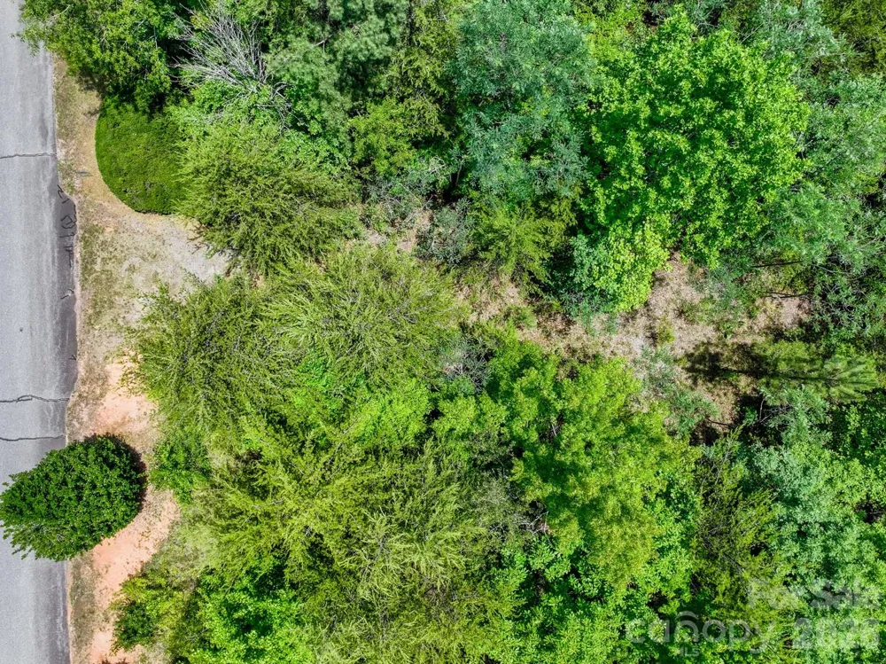 121 Jobes Trail #35 Mill Spring, NC 28756