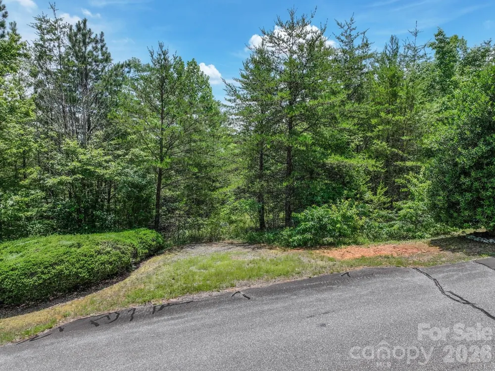 121 Jobes Trail #35 Mill Spring, NC 28756