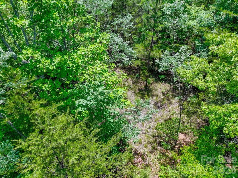 121 Jobes Trail #35 Mill Spring, NC 28756