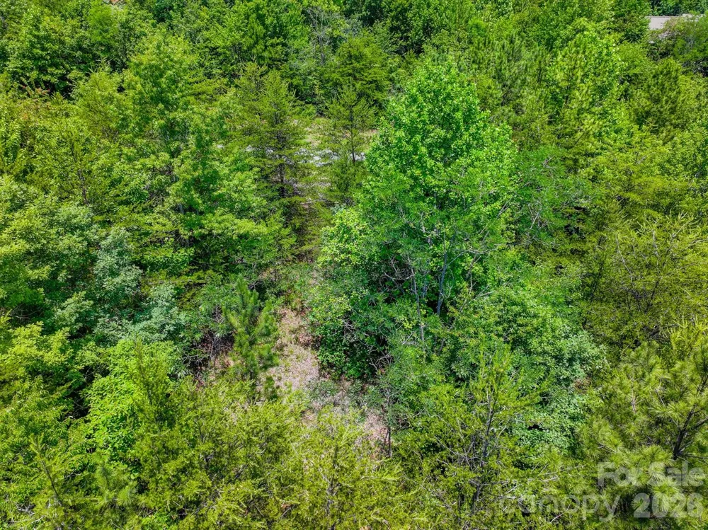 121 Jobes Trail #35 Mill Spring, NC 28756