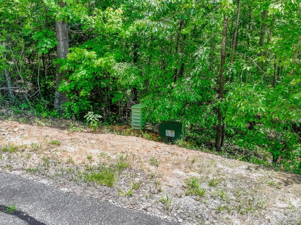 121 Jobes Trail #35 Mill Spring, NC 28756